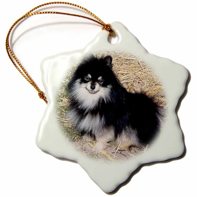 3dRose Black and Tan Pomeranian 3 inch Snowflake Porcelain Ornament