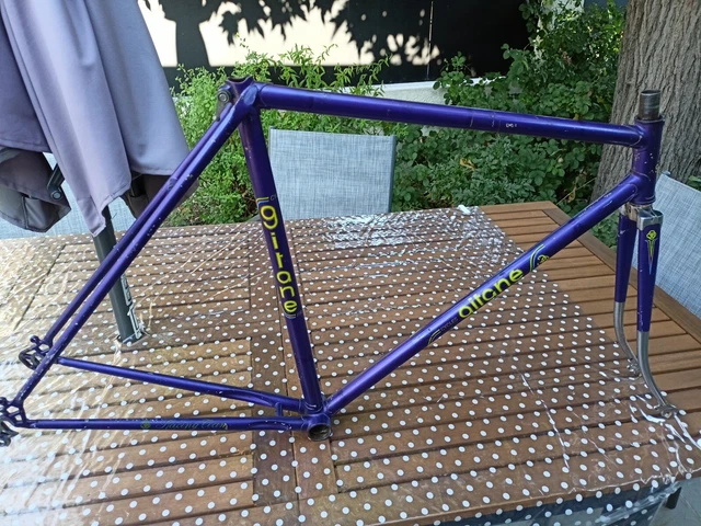 Gitane racing sales team
