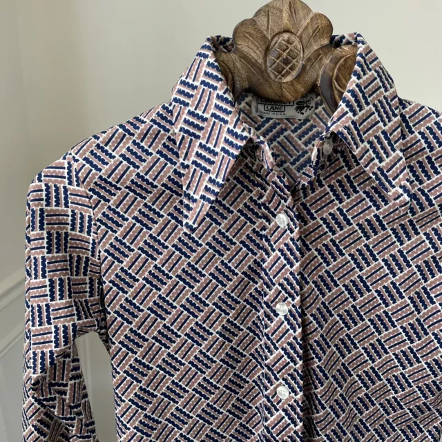 Vintage 70s Cricket Lane Brown Blue Dagger Collar Polyester Button Front Shirt