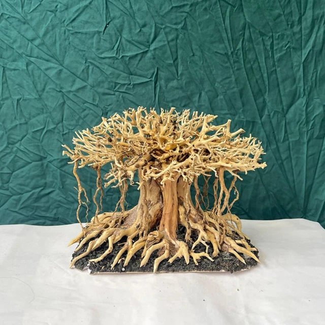 Aquarium driftwood bonsai natural drift wood tree aquascape hardscape fish tank
