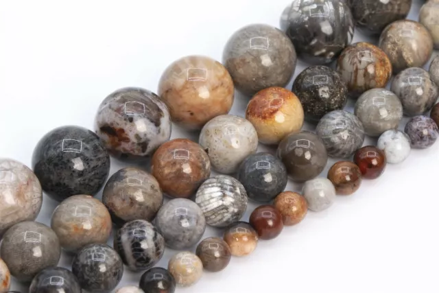 Natural Multicolor Coral Fossil Jasper Grade AAA Round Loose Beads 4/6/8/10MM