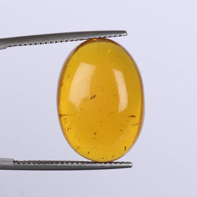 Echt Orange Farbe Bernstein Oval Schliff Cabochon 8 Karat 19x14x7 Größe für