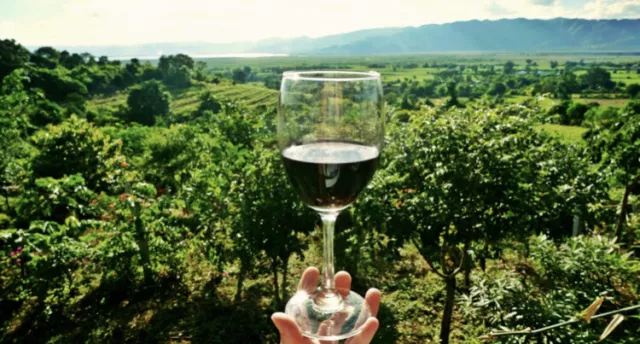 Domain Name for Sale winecountrycrafts.com On GoDaddy  Renewed Recently