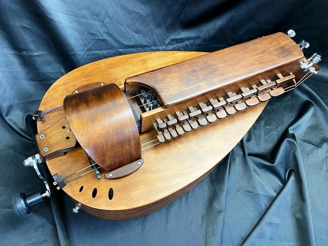 Cochon modèle Hurdy-Gurdy / marron noyer / 24 clés / livre ukrainienne 3