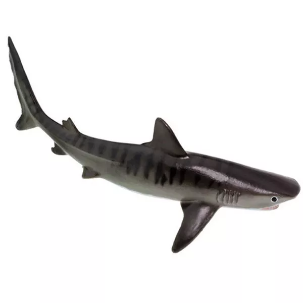 Tiger Shark Sea Life Safari Ltd NEW Toys Educational Toys Kids