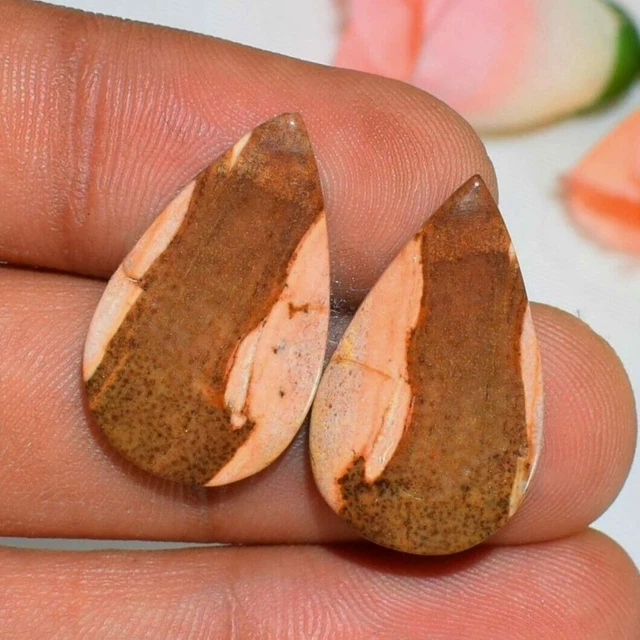 Coppia di pietre preziose sciolte di diaspro zebrato naturale a forma di...