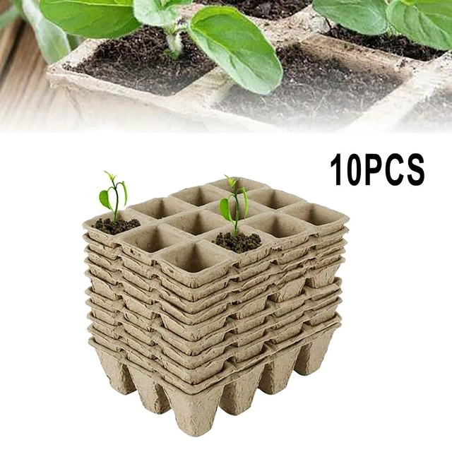 Lot de 150 couverts en bambou (3 x 50 pièces) | Cuillère