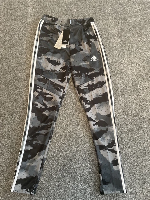 Tiro 19 training tracksuit bottoms 2025 mens