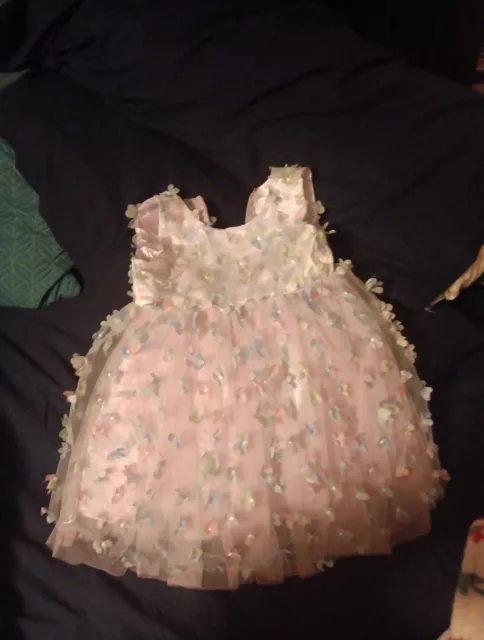 Popatu 3D Floral Embroidered Dress, pink, Infant Size 24 Months, EUC