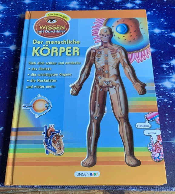 BUCH KINDER DER menschliche Körper Wissen mit Durchblick neuwertig Das ...