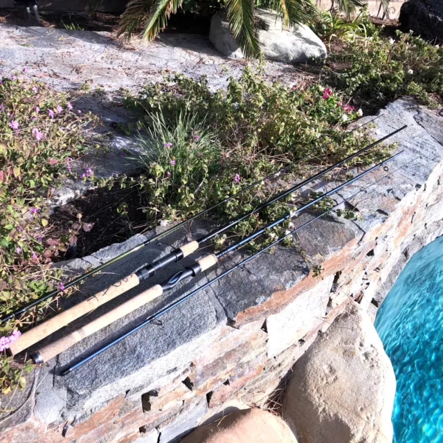 Fenwick Spinning Rod Used FOR SALE! - PicClick