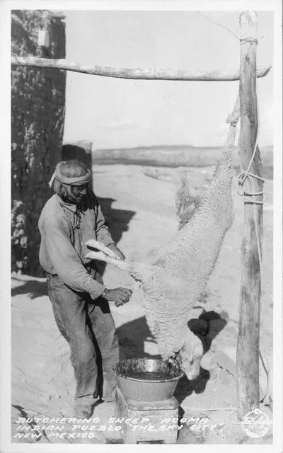 Butchering Sheep, Acoma Indian Pueblo, "The Sky City", New Mexico OLD PHOTO