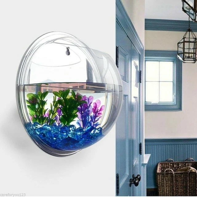 Acrylic Wall Mounted Hanging Fish Bowl Aquarium Tank Beta Goldfish Plants Modern