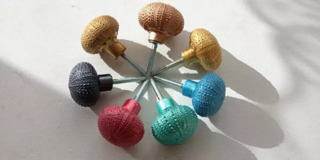 Original Knobs made of real sea urchins for cabinets beach house decor dressers