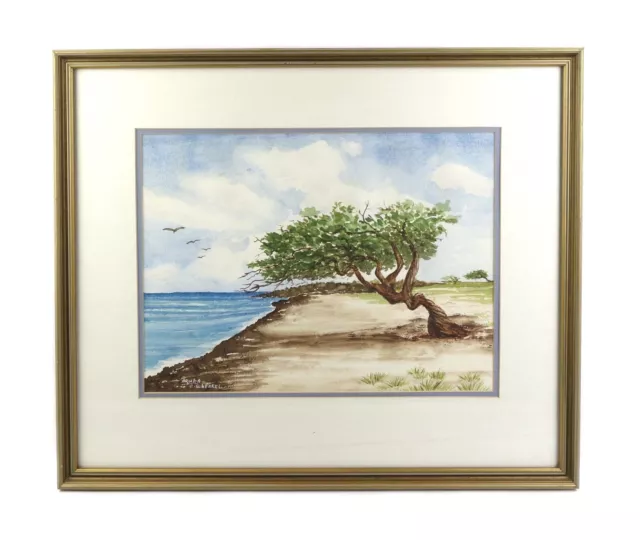 Vintage Signed Watercolor Painting of Aruba Coastal Scene Beach Cypress Tree