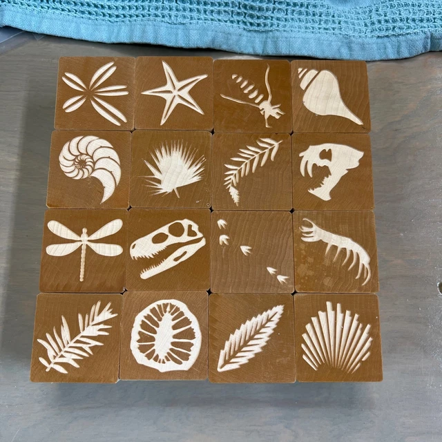 Uncle Goose Discovery Wooden Fossil Blocks, set of 16