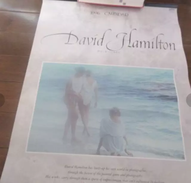 DAVID HAMILTON KALENDER 1996 gebraucht kostenloser Versand EUR 97,47 