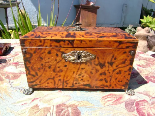 ANTIQUE 19THc ENGLISH? TEA CADDY PATTERNED BURNT WOOD WITH BRASS PAW FEET