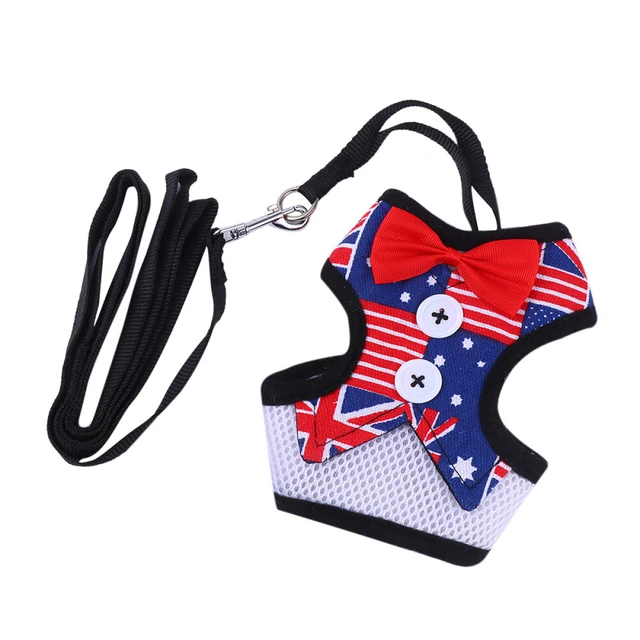 Small Dog Leash Harness Small Dogs Bunny Harness Wiring Harness