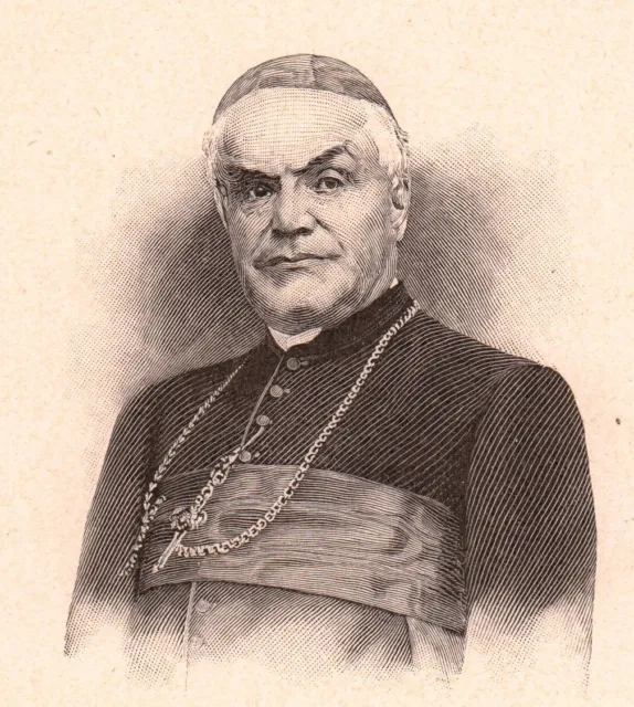 Portrait of Cardinal François-Désiré Mathieu Einville at the Jard Meurthe and Moselle