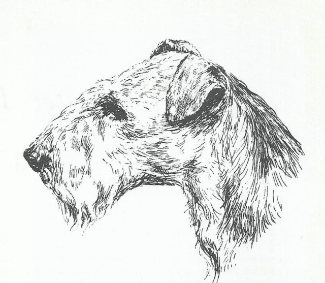 Lakeland Terrier #2 - CUSTOM MATTED - 1963 Vintage Dog Art Print 0507 CLD