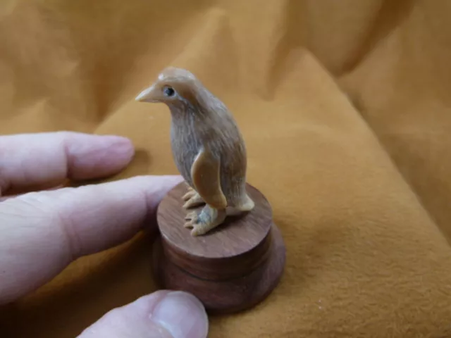 (TB-PENG-3) little tan Penguin shed ANTLER figurine Bali detailed ice bird