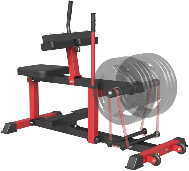 CALF RAISE MACHINE Seated Calf Machine Leg Training Equipment For Home ...