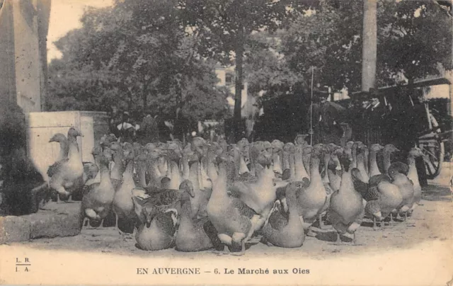 Cpa 63 En Auvergne Le Marche Aux Oies