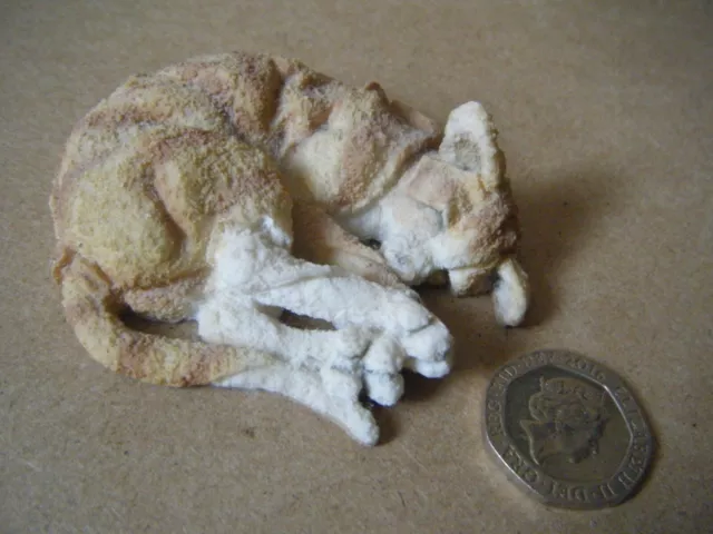 Country Artists, A Breed Apart, Miniature "SLEEPING CAT" figurine. Unboxed.