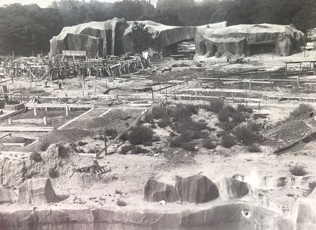 Lot De 2 Photos Originales Du Chantier Du Zoo De Vincennes (1933) - Éléphants Letrosne