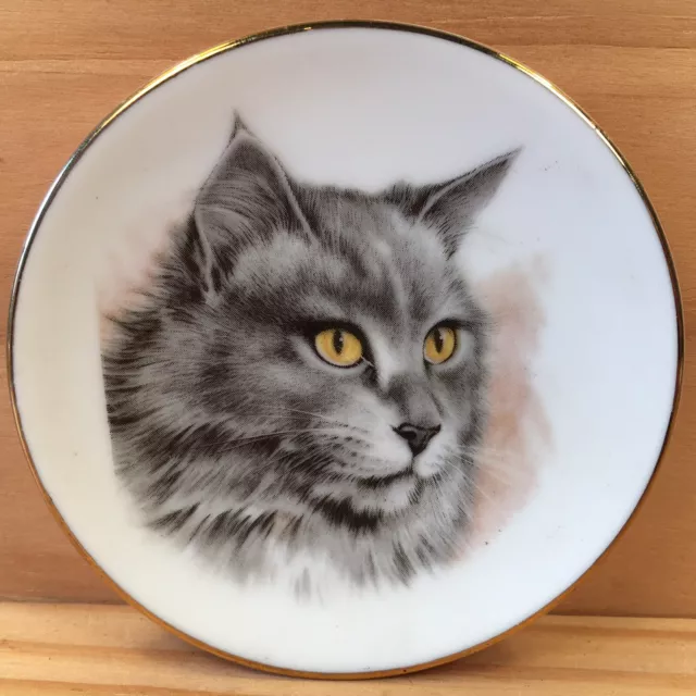 PERSIAN KITTEN “Grey” Beautiful Miniature Kitty Cat Plate Porcelain Ornament