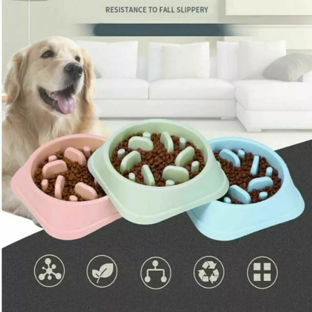 Dog Slow Feeder Bowl Anti Bloat No Gulp Puppy Pet Cat Interactive Feeding Bowl