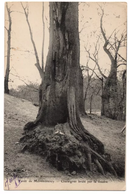 CPA 95 - Forest of MONTMORENCY (Val d'Oise) - Shatainer burned by lightning