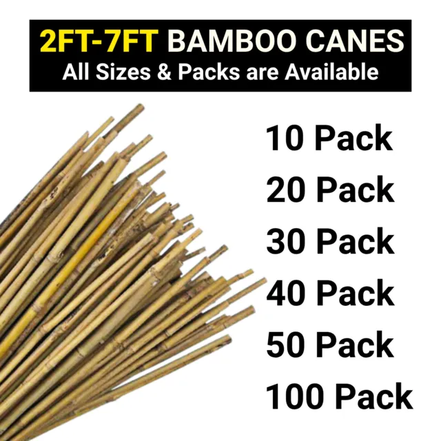 2FT 3FT 4FT 5FT 6FT 7FT Bamboo Canes Strong Thick Garden Plant Support Stick