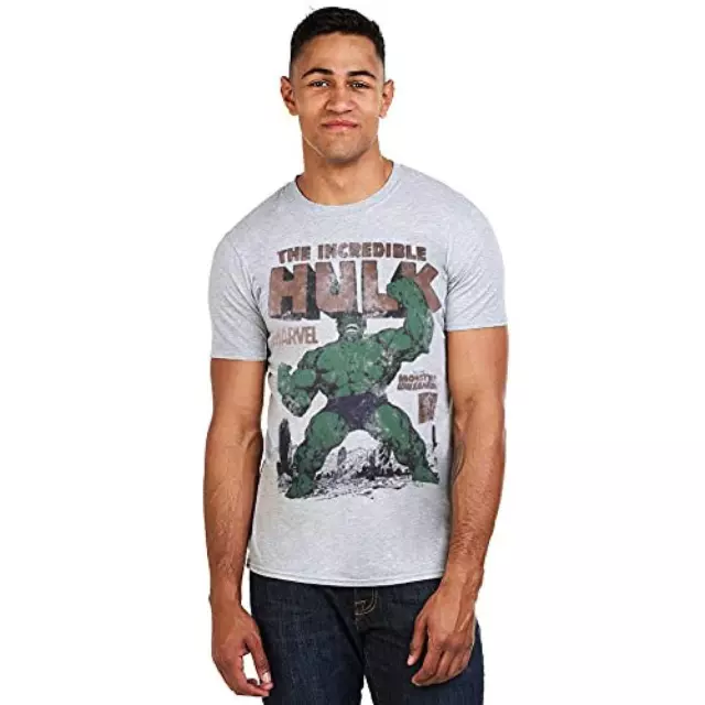 (TG. L) Marvel Hulk Rage T-Shirt, Grigio (Grey Marl Spo), (Taglia Produttore: La