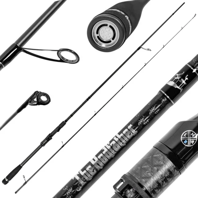 Canne à pêche Alcedo filage Spark empreinte