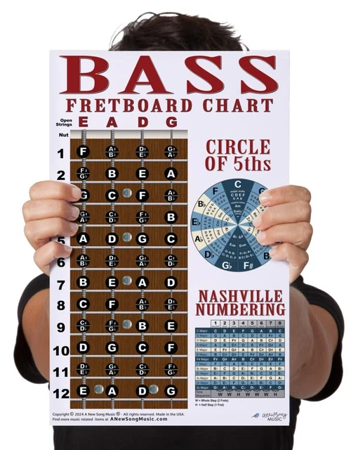LAMINATED 4 STRING Bass Fretboard Instructional Chart Poster Circle ...