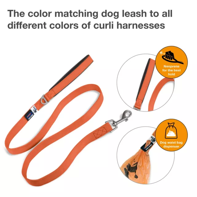 Basic Leash Orange M 2