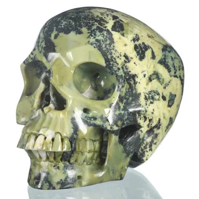 Cráneo humano natural amarillo turquesa de 6,89" curación metafílica #33
