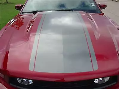 Pony Center Snake Hood Racing Stripe 2010 2011 2012 3M Pro Vinyl Ford Mustang 2