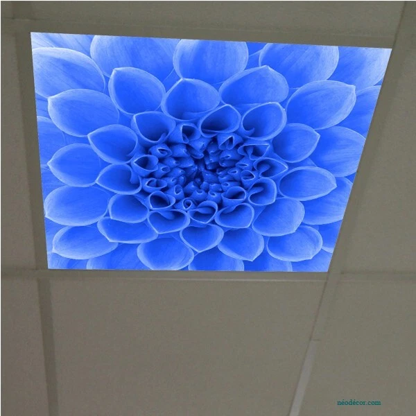 plafond tendu imprimé personnalisé paysage nature ciel forêt d'automne