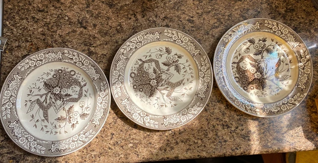 3 Wedgwood Beatrice Transfer Print Dinner Plates 10.5 inch 1881