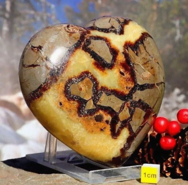 Septarian Nodule Heart - Large Polished Geode Natural Raw Healing Mineral 600g