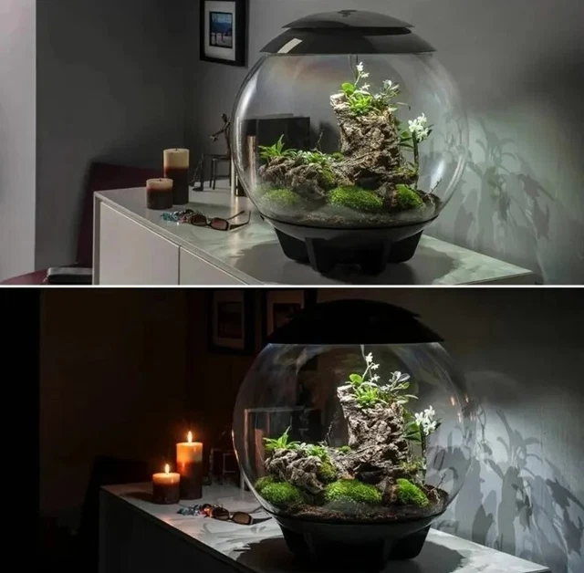 Biorb Air 60L Grey Terrarium Tank Led Lighting Heated Tropical Plants Reptile 3