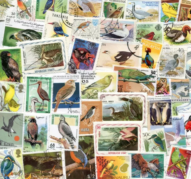 Colourful Birds of the World 50 Different Lovely Thematic Stamps *STOCK PICTURE*