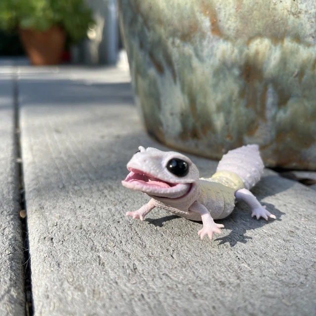 Bandai Gashapon Deformed Ver Leopard Gecko Action Figure blizzard white