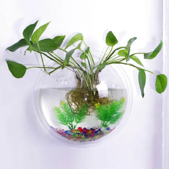Fish Tank Sphere Acrylic Betta Glass Bowl Wall Decor Aquarium