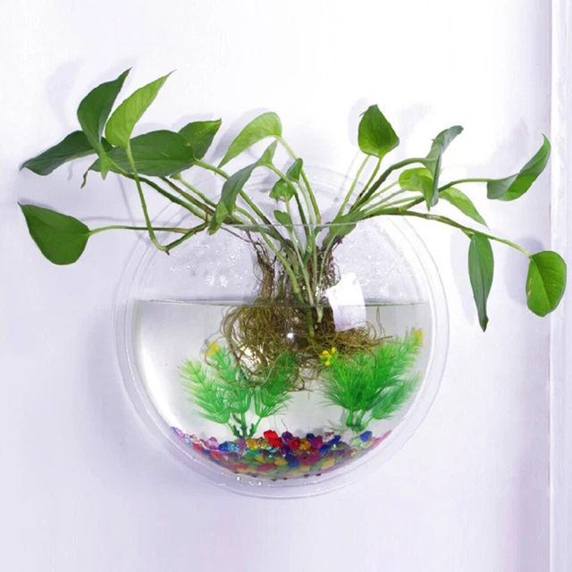 Fish Tank Sphere Acrylic Betta Glass Bowl Wall Decor Aquarium
