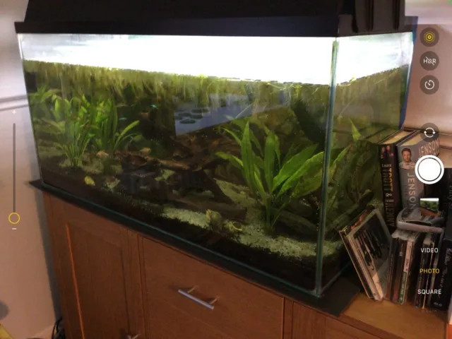 Complete Aquarium Set Up: 160L LED Fish Tank , With Spares.