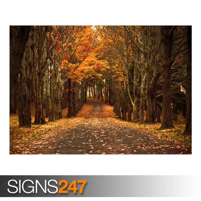 LATE AUTUMN (AD999) NATURE POSTER - Photo Picture Poster Print Art A0 to A4